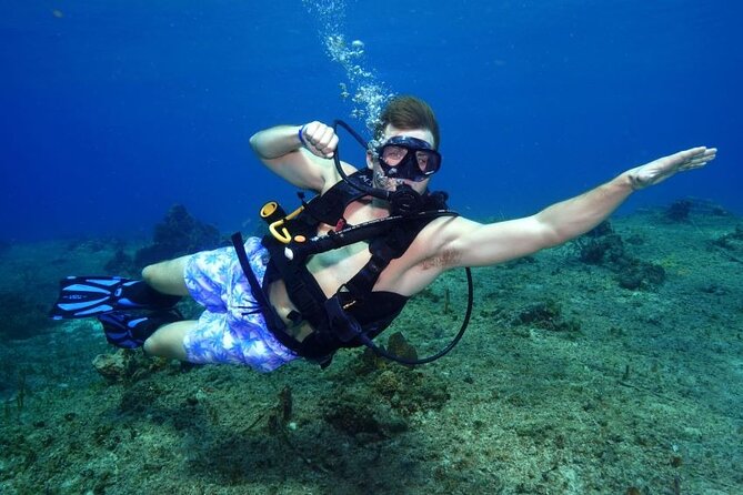 1 Tank Guided Shore Dive Including Equipment - Key Highlights You’ll Care About