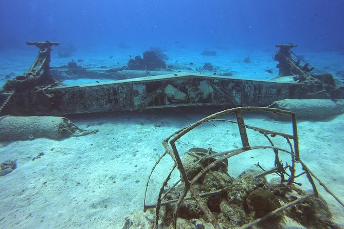 1 Tank Guided Shore Dive Including Equipment - How This One-Tank Shore Scuba Keeps Your Day Efficient