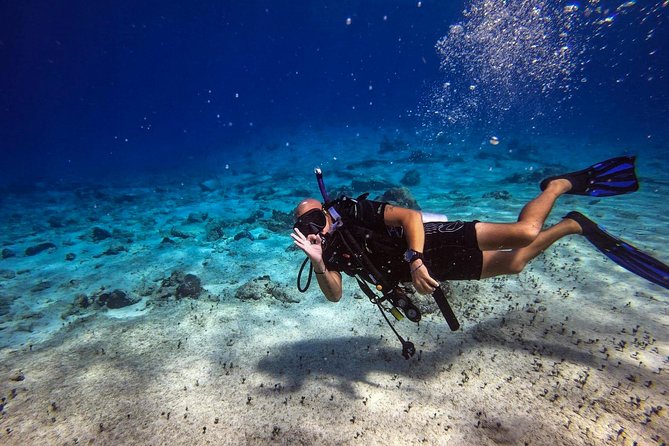 1 Tank Guided Shore Dive Including Equipment - Beach Entry and a Max Depth of 35 Feet