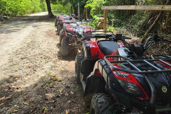2 Hours ATV Jungle, Caverns and Mayan Ruins Tour - Rancho Buenavista and the Route From Royal Village
