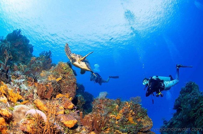2 Tank Cozumel Reef Boat Dives - Boat Ride, Briefing, and Safety: What the Crew Does Before You Go Down