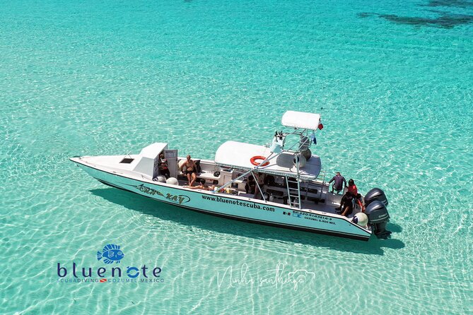 2 Tank Morning Dive: Scuba Diving in Cozumel - Key Things I’d Bookmark Before You Go