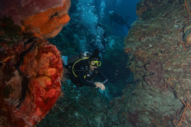 2 Tank Morning Dive: Scuba Diving in Cozumel - Surface Interval: Lunch, Snacks, and That Much-Needed Reset