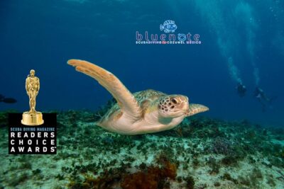 2 Tank Morning Dive: Scuba Diving in Cozumel