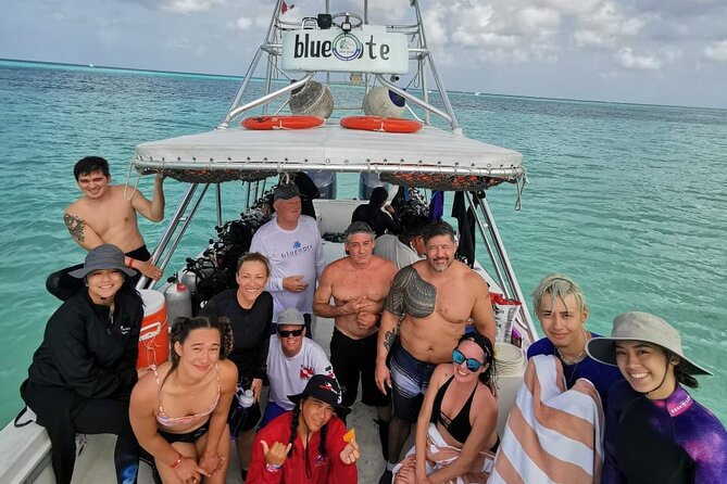 2 Tank Morning Dive: Scuba Diving in Cozumel - Price and Value: $160 Plus the $12 Cash-Only Marine Park Fee
