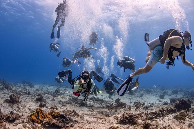 2 Tanks dives for Certified Divers in Cozumel - Key things that make this 2-tank reef trip feel worth it