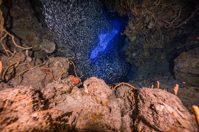 2 Tanks dives for Certified Divers in Cozumel - Lunch between reef sessions: staying fueled for the second stop