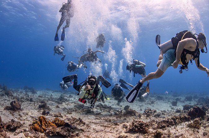 2 Tanks dives for Certified Divers in Cozumel - Casa Blanca as the second site: changing scenery without wasting time