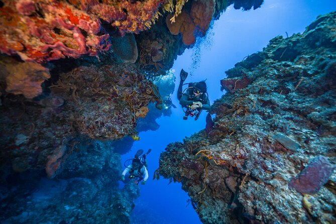 2 Tanks dives for Certified Divers in Cozumel - Lobo, Lola, Arianna, Roberto, and Captain Lorenzo on the same team