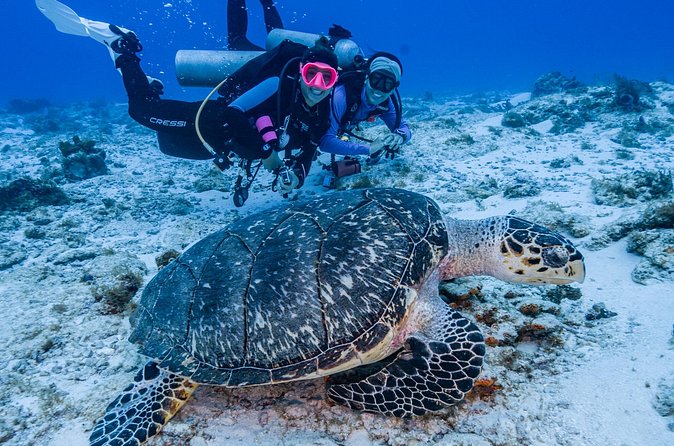 2 Tanks dives for Certified Divers in Cozumel - Small boat comfort: why max 5 travelers changes the vibe