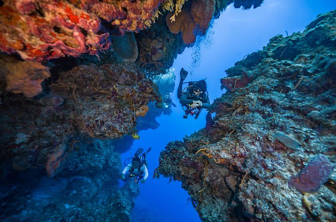 2 Tanks dives for Certified Divers in Cozumel - Timing in Cozumel: how a 4-hour plan fits your vacation