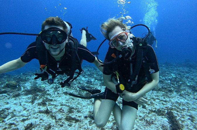 2 tanks for certified divers - Reef Session 2: More Time, More Chances, Safer Conditions