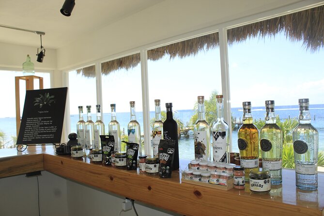 3-Hour Small-Group Mezcal and Tequila Tasting activity from Cozumel - Mezcal tasting: smoke and craft you can recognize