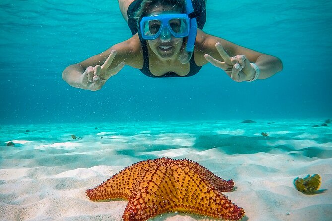 4 Hour Cozumel Reefs Snorkeling - Cozumel in 4 hours: why this multi-stop plan works