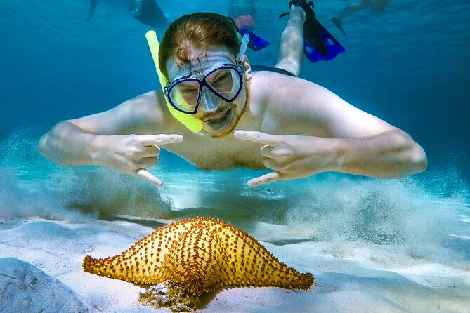 4 Hour Cozumel Reefs Snorkeling - Getting to Marina Cozumel ASIPONA without stress