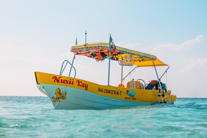 4 Hour Cozumel Reefs Snorkeling - Playa El Cielo: starfish snorkeling at the surface