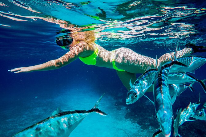 4 Hour Cozumel Reefs Snorkeling - El Cielito sandbank: a calmer moment in the day