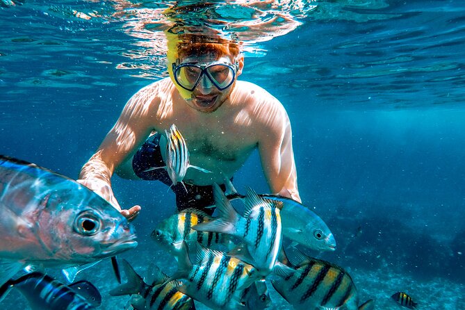 4 Hour Cozumel Reefs Snorkeling - What you actually get for $65 (and how it changes the value)