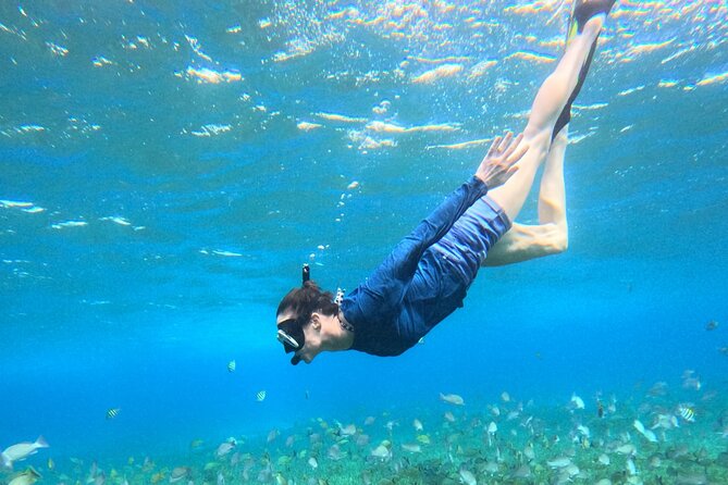 4 Hour Cozumel Turtle Sanctuary Experience on a Luxury Catamarán - Your reef circuit: turtle sanctuary, El Cielo starfish, and Cielito sandbank