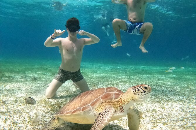 4 Hour Cozumel Turtle Sanctuary Experience on a Luxury Catamarán - Snorkeling reality check: safety rules, wildlife odds, and crowd control