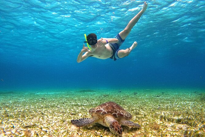 4 Hour Cozumel Turtle Sanctuary Experience on a Luxury Catamarán - Food, drinks, and the deck-top bathroom question