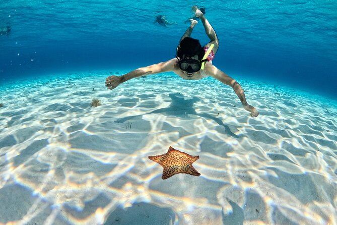 4 Hour Cozumel Turtle Sanctuary Experience on a Luxury Catamarán - FAQ