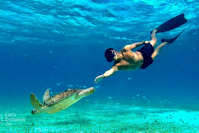 4 Hour Snorkeling Tour in Cozumel - Key points before you go