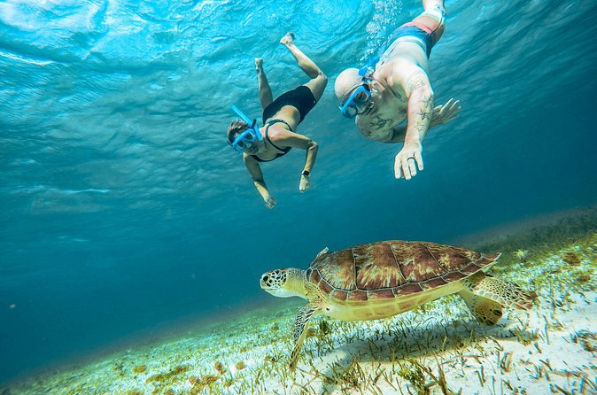 4 Hour Snorkeling Tour in Cozumel - El Cielo, Heaven Waters, and the Starfish on White Sand