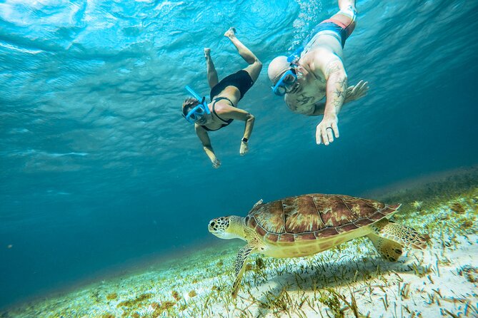 4 Hour Snorkeling Tour in Cozumel - Price and Value: Is $65 Worth It in Real Life?