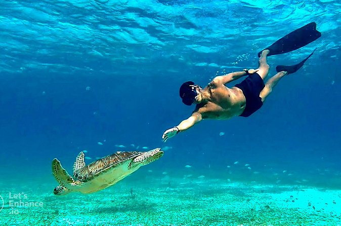 4 Hour Snorkeling Tour in Cozumel - Who This Tour Fits Best (And Who Might Want a Different Option)
