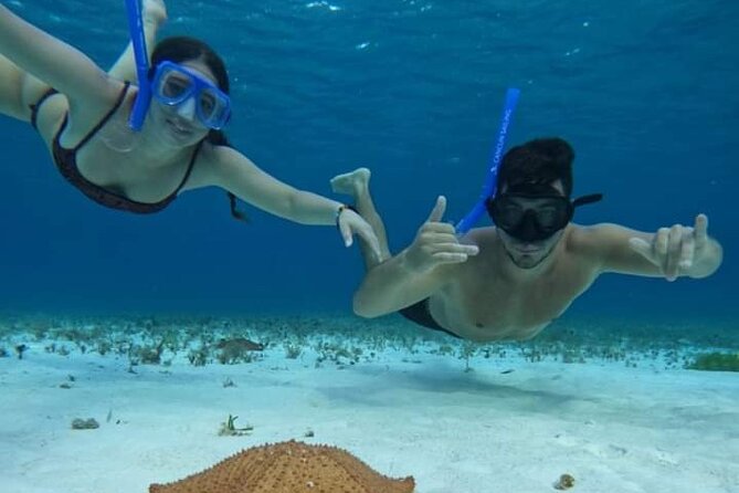 4 hours of shared snorkeling to El Cielo - El Cielo Marine-Star Sanctuary: White Sand, Starfish, and Shallow Magic