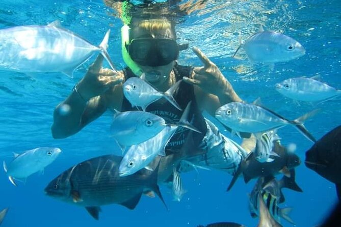 4 hours of shared snorkeling to El Cielo - Snacks, Drinks, and the Ceviche Stop You Will Actually Notice