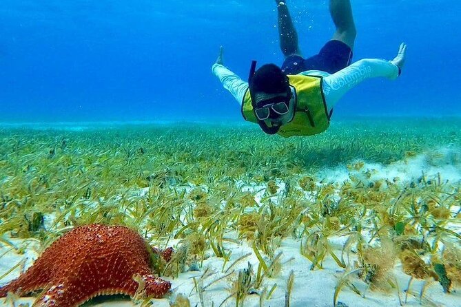 4 hours of shared snorkeling to El Cielo - Underwater Photos: Optional, and Often Worth a Look