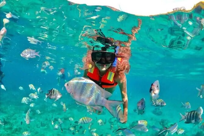 Amazing Cozumel Buggy Adventure Around the Island - Buggy condition and guide experience: what to expect in the real world