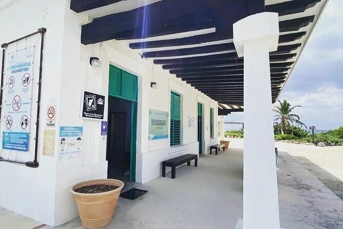 Amazing Jeep Tour Visit Punta Sur Park and San Gervasio Ruins - Skyreef Beach Club Snorkeling Session: What 45 Minutes Really Means