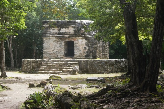 Amazing Jeep Tour Visit Punta Sur Park and San Gervasio Ruins - Price and Value: Is $95 a Good Deal?