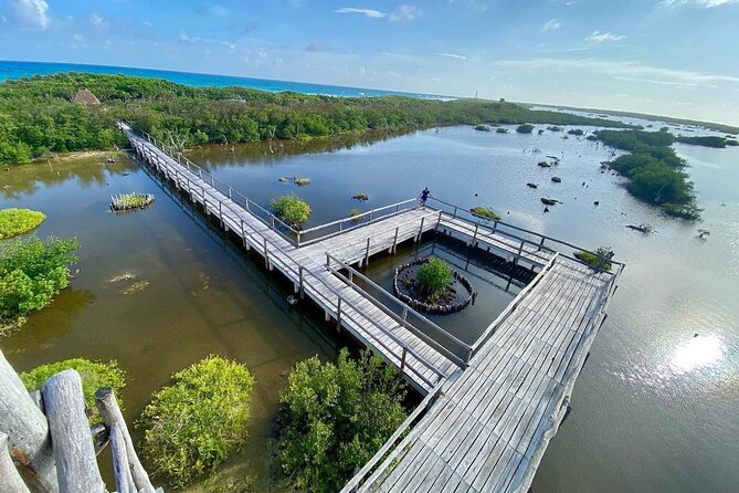 Amazing Jeep Tour Visit Punta Sur Park and San Gervasio Ruins - Punta Sur Eco Beach Park and the Colombia Lagoon Crocodile Zone