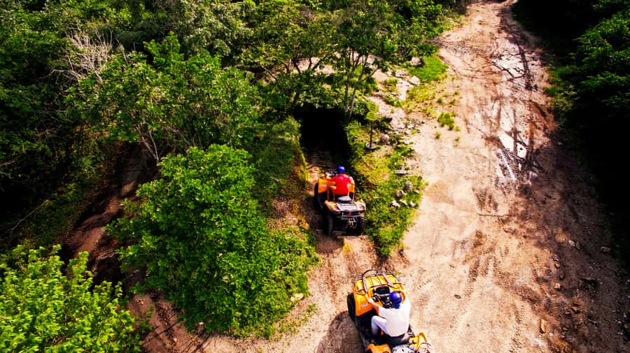 ATV Adventure to Jade Cavern Double - Wildlife and nature moments that make it feel local