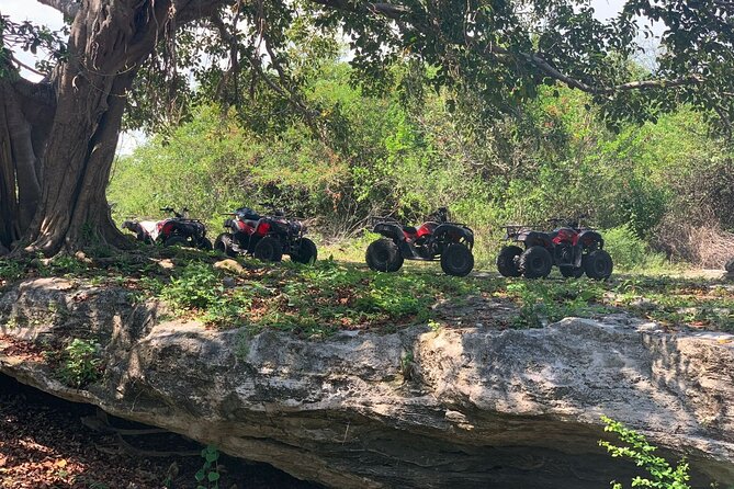ATV Jungle Adventure to Hidden Mayan Ruins and Caves - The ATV Ride Itself: 45 Minutes Through Jungle Paths, Rocks, and Caves