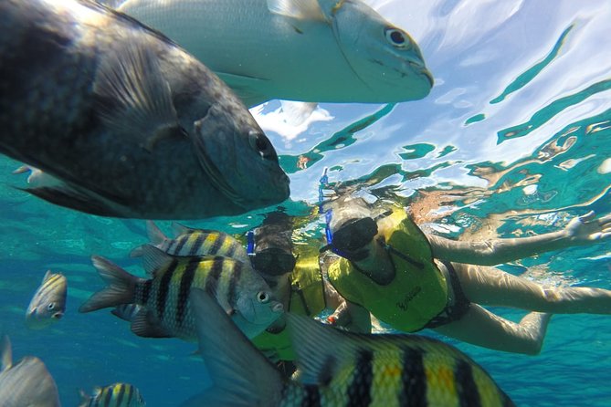 ATV Mud Kicking and Snorkeling by Boat in Cozumel - Boat snorkeling in the National Marine Park: reef rules and realistic expectations