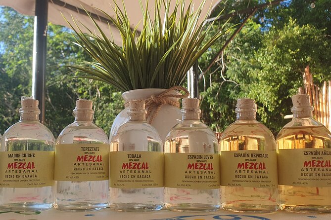 Atv Tour in Cozumel 4 Hours Adventure Relax And Tasting - Who This Cozumel ATV Day Fits Best
