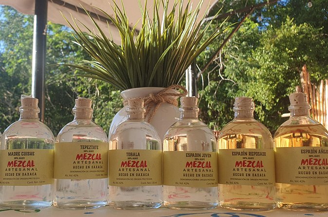 Atv Tour in Cozumel 4 Hours Adventure Relax And Tasting - How to Pack Like You’re Actually Riding