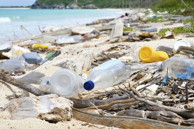 Beach Guardians Clean up & Picnic plus Otoch Mayan Experience - Beach Guardians cleanup at Playa Publica San Martin, the part that feels real