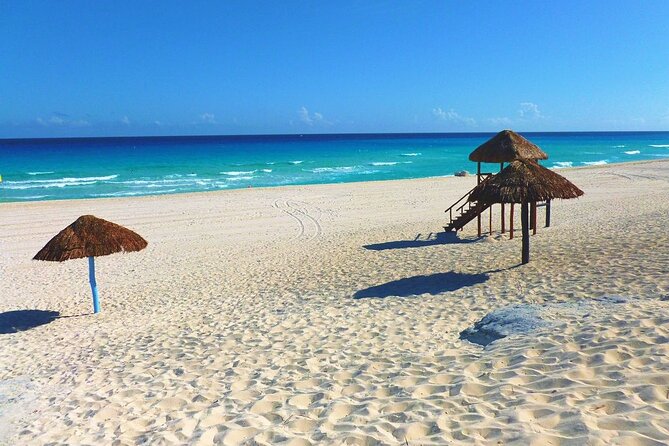 Beach Guardians Clean up & Picnic plus Otoch Mayan Experience - Price and value at $65, what you actually get for a half day