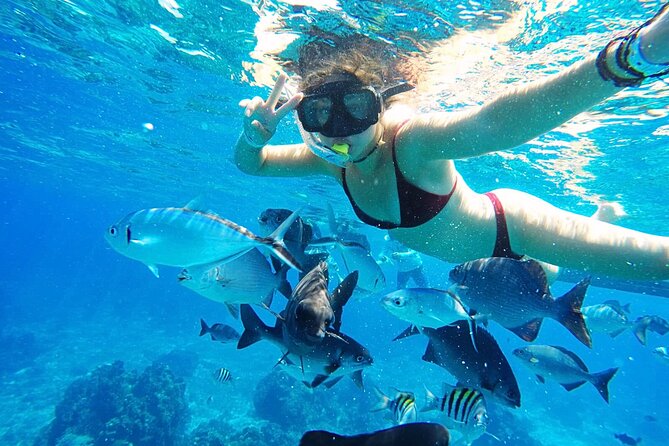 Best Cozumel Day Pass San Francisco Beach Club - Snorkeling reality in Cozumel, go in with flexible expectations