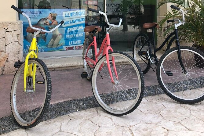 Bicycle Adventure With Snorkel and Lunch - Key Highlights at a Glance