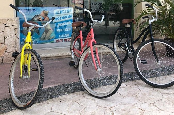 Bicycle Adventure With Snorkel and Lunch - Private Tour Format: Better Pace Control, Less Waiting, More Comfort