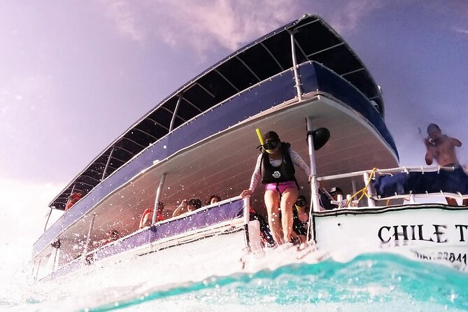 Catamaran Excursion + Open bar + Snorkeling at El Cielo - Open bar details and adult-only drinks