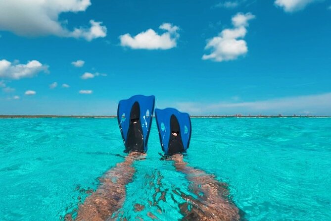 Catamaran in Cozumel with snorkeling at El Cielo and open Bar - Stop 1: your first snorkeling session near the reef (about 35 minutes)