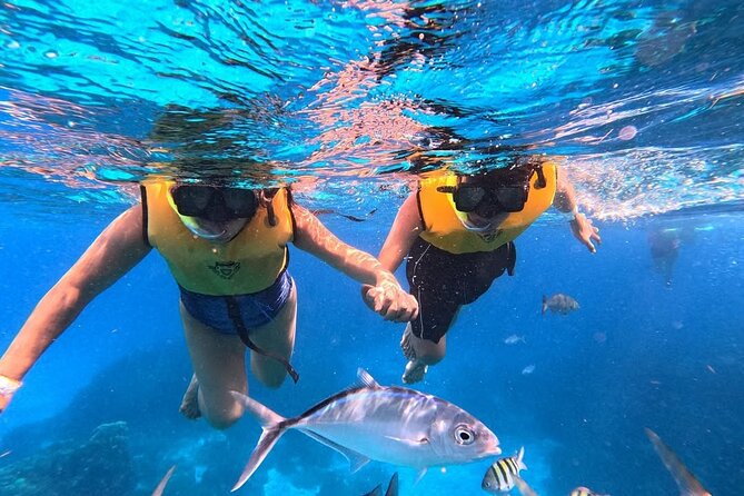 Catamaran in Cozumel with snorkeling at El Cielo and open Bar - El Cielo starfish sanctuary: the 20-minute swim and what to look for